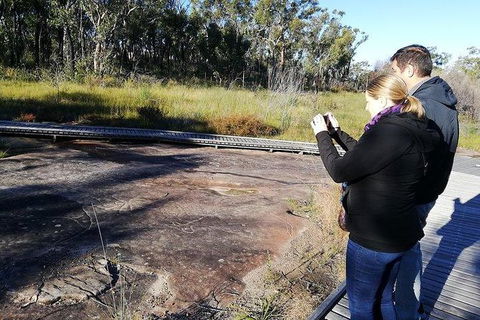 Kangaroo Encounter & Aboriginal Rock Arts Half-Day Trip From Sydney - Accommodation NT 7