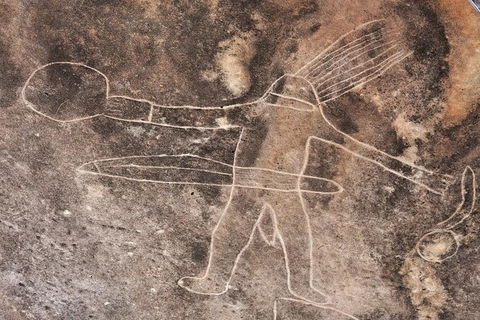 Kangaroo Encounter & Aboriginal Rock Arts Half-Day Trip From Sydney - Accommodation NT 4