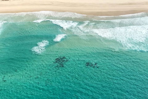 Coastal Helicopter Shared Flight - 20 Minutes - Accommodation NT 5