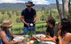 Private Blue Mountains And Wildlife Park Tour From Sydney With Barbecue Lunch - thumb 21
