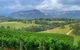 Private Blue Mountains And Wildlife Park Tour From Sydney With Barbecue Lunch - thumb 2