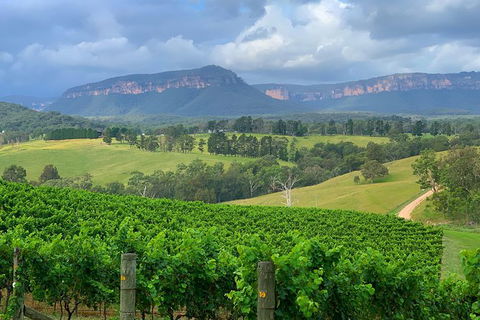 Private Blue Mountains And Wildlife Park Tour From Sydney With Barbecue Lunch - NT Tourism 2