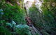 TooRoo Blue Mountains Private Tour - thumb 3