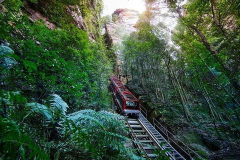 TooRoo Blue Mountains Private Tour - Accommodation NT 3