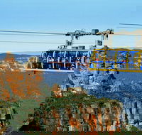 Private Blue Mountains Tour with Expert Guide - Accommodation NT