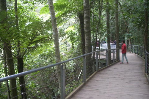 Private Blue Mountains Tour With Expert Guide - Accommodation NT 11
