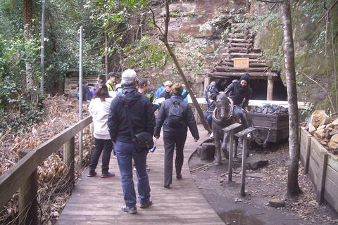 Private Blue Mountains Tour With Expert Guide - Accommodation NT 8