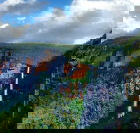 Blue Mountains Off The Beaten Track 4WD Day Adventure - Accommodation NT