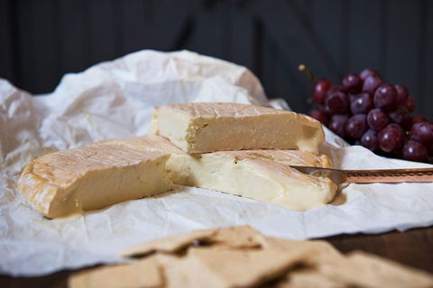 Artisan Cheese Tastings And Sales - Accommodation NT 8
