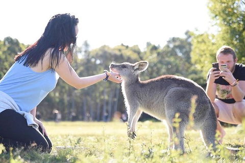 Oz Adventure - 9 Day - Accommodation NT 3