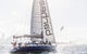 Sydney Private Tour And Sip And Sail Experience - thumb 3