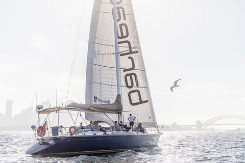 Sydney Private Tour And Sip And Sail Experience - Accommodation NT 3
