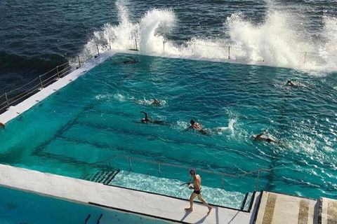 Sydney Private Tour And Sip And Sail Experience - Accommodation NT 7