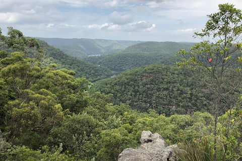Kayak Camping Adventure To Marramarra Orchard - Accommodation NT 15