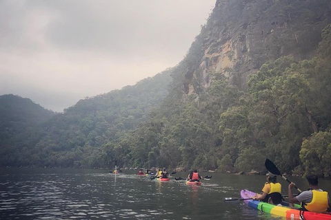Kayak Camping Adventure To Marramarra Orchard - Accommodation NT 16