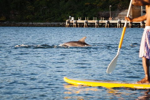 1 Hour Stand Up Paddle Board Rental - Accommodation NT 3