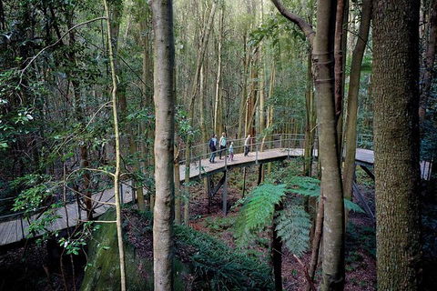Private Blue Mountains Tour - Accommodation NT 6