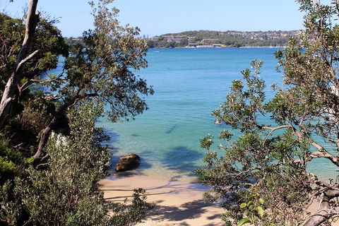 Sydney Harbour Walks - Accommodation NT 9