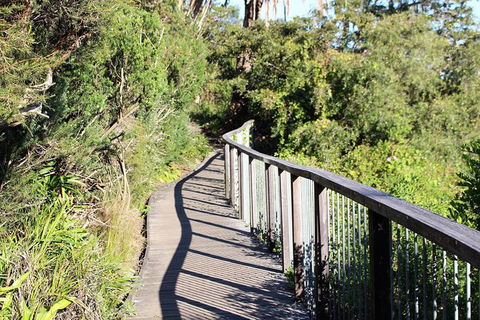 Sydney Harbour Walks - Accommodation NT 4