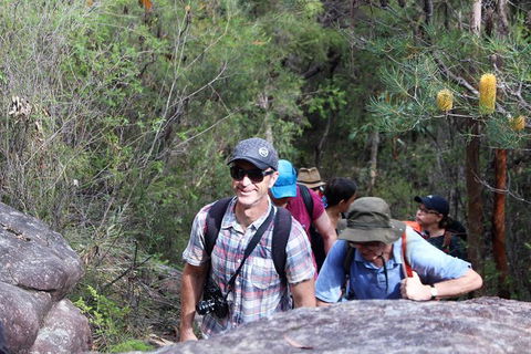 Sydney Harbour Walks - Accommodation NT 1