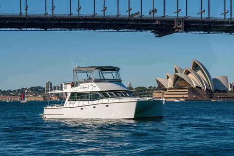 Vivid 90-Minute Sydney Harbour Small Group Catamaran Cruise - Accommodation NT 2