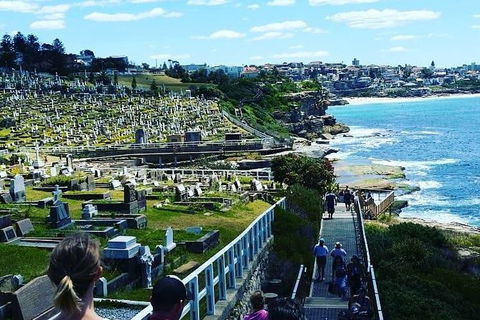 Bondi To Coogee Guided Walk - Accommodation NT 1