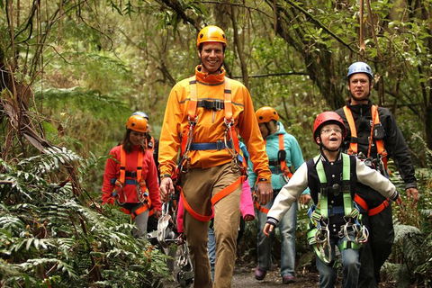Illawarra Fly Treetop Adventures Admission Including Zipline Tour - Accommodation NT 1