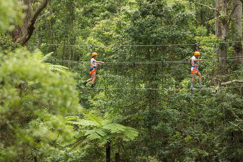 Illawarra Fly Treetop Adventures Admission Including Zipline Tour - Accommodation NT 0