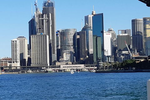 Private Sydney Tour Guide . Let Me Show You My Fabulous City - Accommodation NT 4