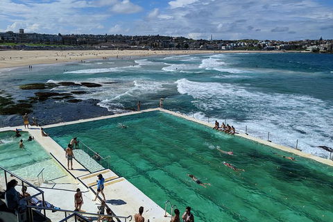 Sydney & Bondi Beach Plus Local Secrets With \'Personalised Sydney Tours\' - Accommodation NT 3