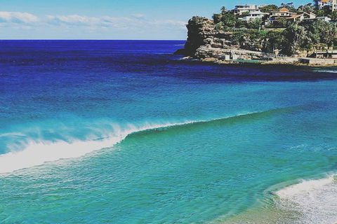 Sydney & Bondi Beach Plus Local Secrets With \'Personalised Sydney Tours\' - Accommodation NT 4