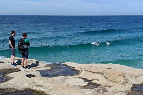 Sydney & Bondi Beach Plus Local Secrets With \'Personalised Sydney Tours\' - Accommodation NT 13