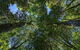 Private Blue Mountains Photography Expedition - thumb 6