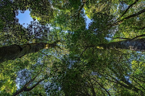 Private Blue Mountains Photography Expedition - Accommodation NT 6