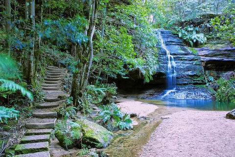 Private Blue Mountains Photography Expedition - Accommodation NT 7