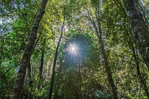 Private Blue Mountains Photography Expedition - Accommodation NT 5