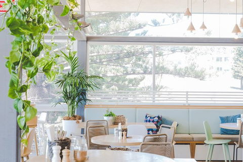 Sydney Beachside Experience With Optional Upgrade To Include A Bottle Of Wine - NT Tourism 2