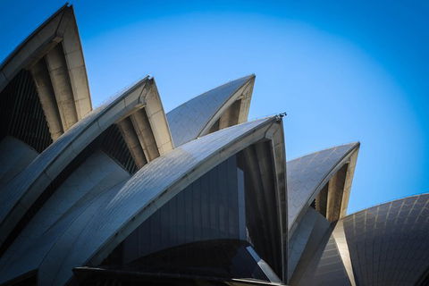 Private Sydney Harbour Sightseeing Cruise With Local Captain - Accommodation NT 6