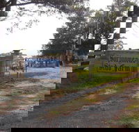 Interactive farm tours on a beef lamb and duck farm - Accommodation NT
