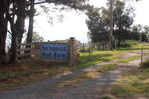Interactive Farm Tours On A Beef, Lamb And Duck Farm - Accommodation NT 0