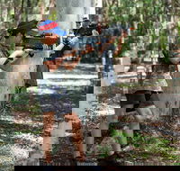 Laser Skirmish at Glenworth Valley Outdoor Adventures