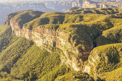 Small Group Blue Mountains, Featherdale, Lunch & Cruise Day Tour - NT Tourism 7