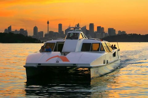Small Group Blue Mountains, Featherdale, Lunch & Cruise Day Tour - NT Tourism 1