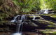 Small Group Blue Mountains, Featherdale, Lunch & Cruise Day Tour - thumb 6