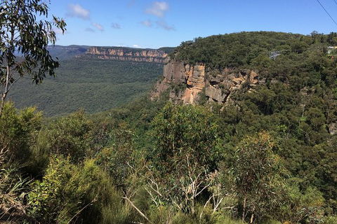 Small Group Blue Mountains, Featherdale, Lunch & Cruise Day Tour - NT Tourism 5
