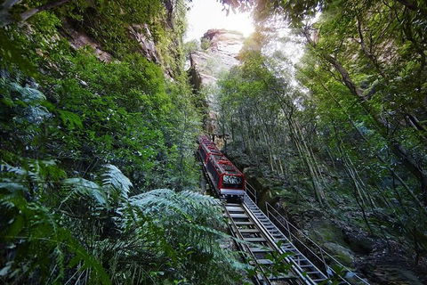 Small Group Blue Mountains, Featherdale, Lunch & Cruise Day Tour - NT Tourism 2