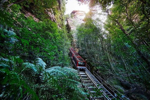 All-Inclusive Blue Mountains Tour In A Luxury Mercedes Sprinter - Accommodation NT 8