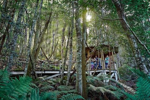 All-Inclusive Blue Mountains Tour In A Luxury Mercedes Sprinter - Accommodation NT 6