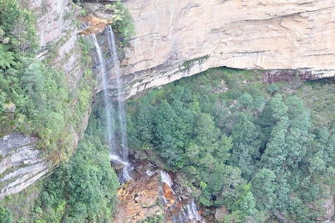 All-Inclusive Blue Mountains Tour In A Luxury Mercedes Sprinter - Accommodation NT 9