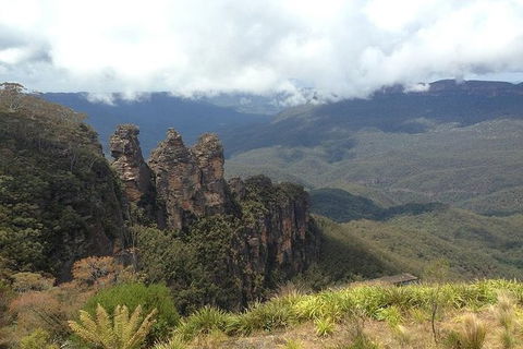 All-Inclusive Blue Mountains Tour In A Luxury Mercedes Sprinter - Accommodation NT 3
